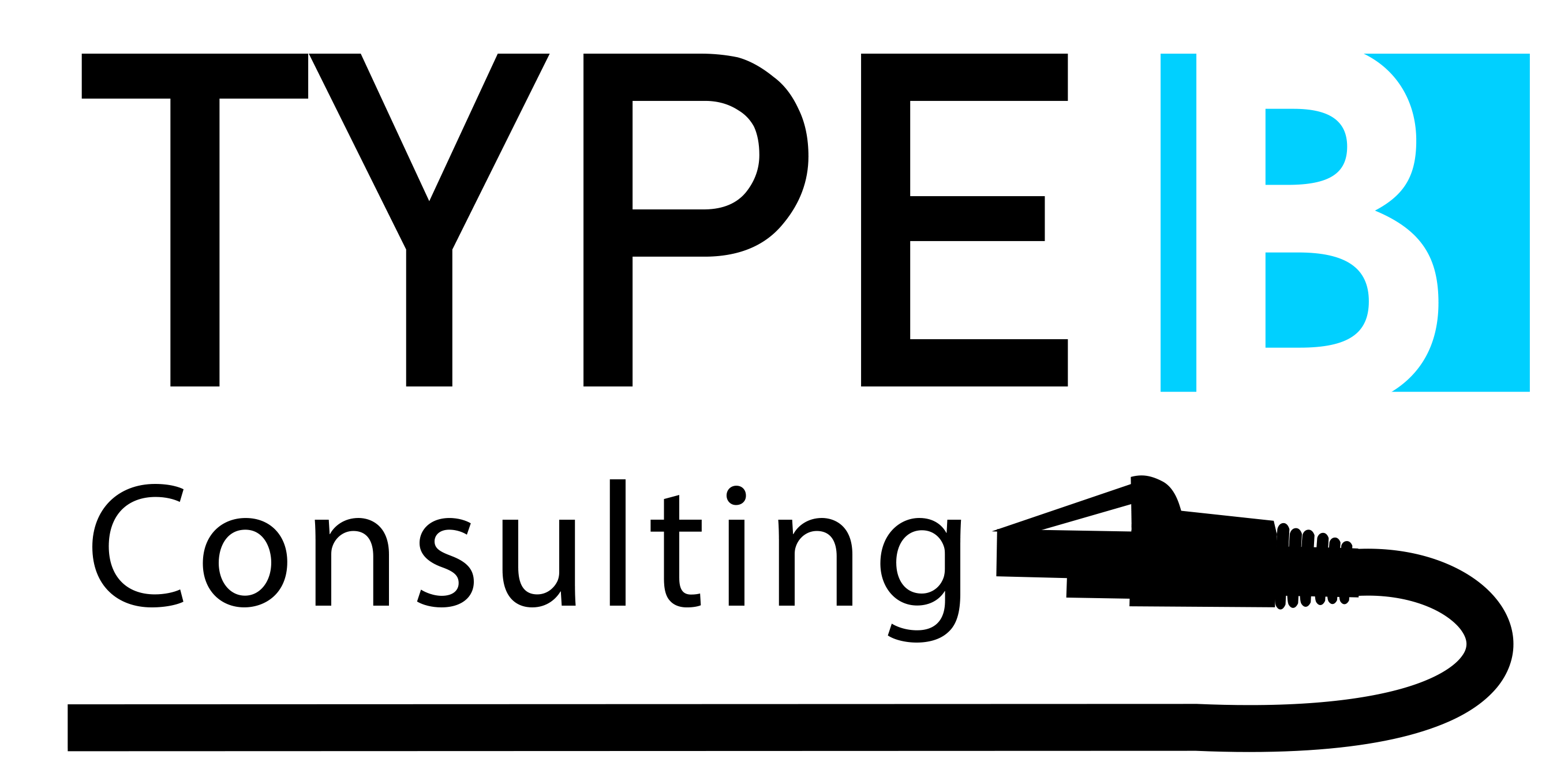 Type B Consulting home
